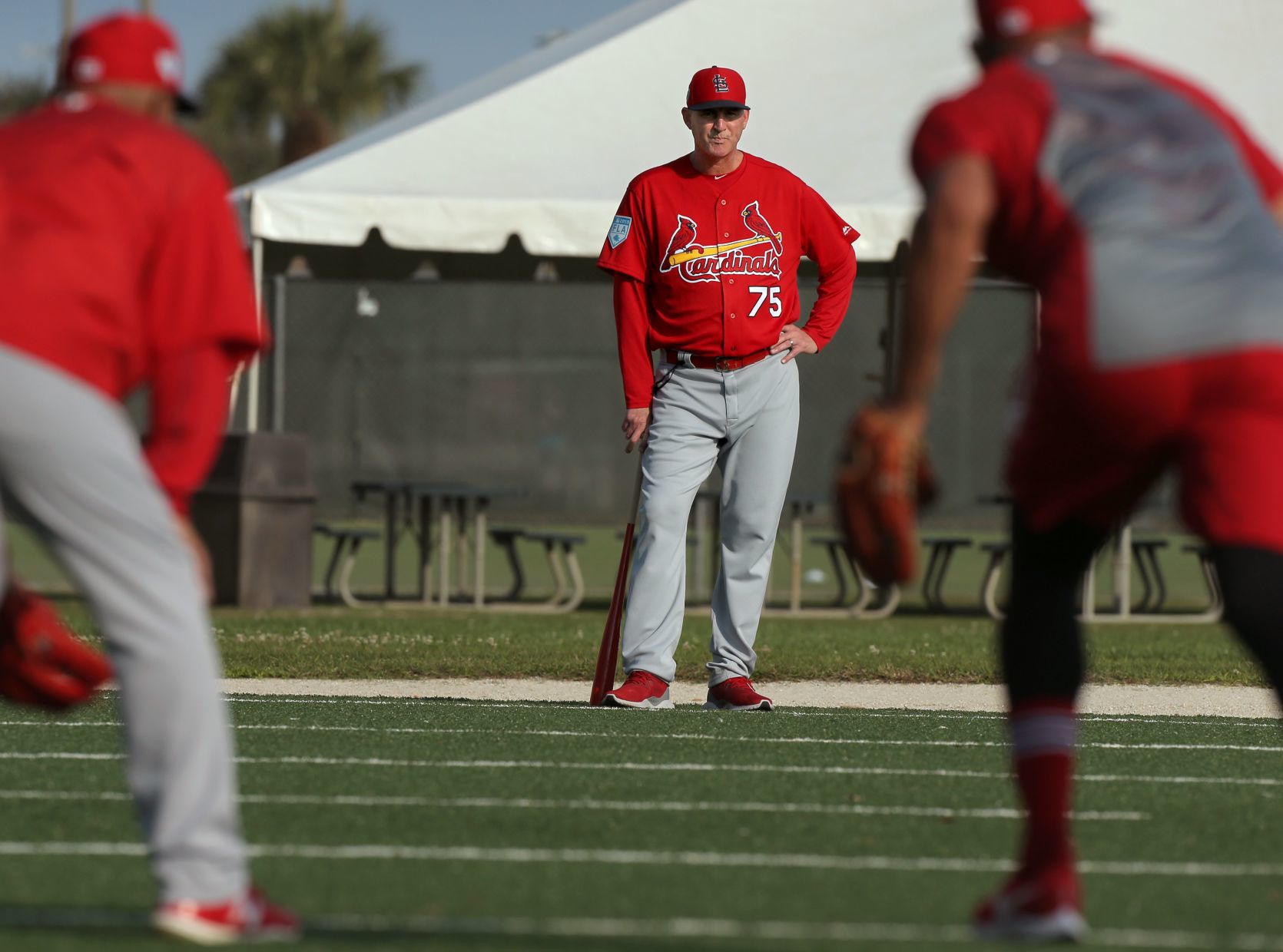 2019 Cardinals spring training